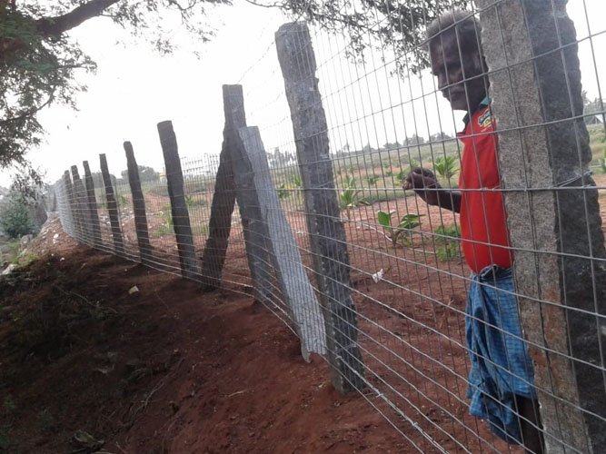 Weldmesh Fencing Weldmesh Fencing