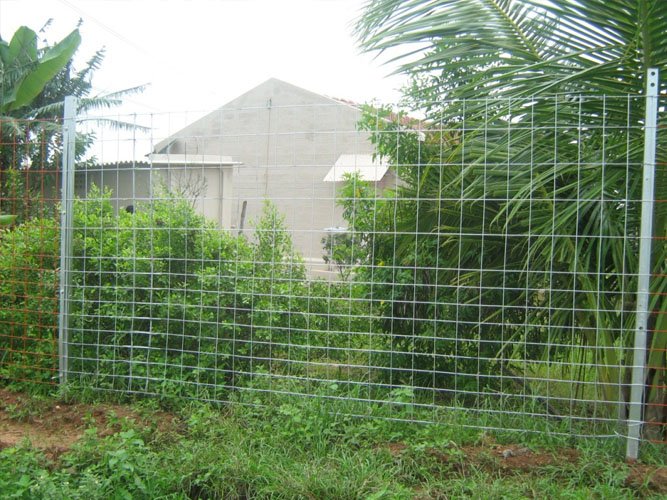 Weldmesh Shed Fencing Weldmesh Shed Fencing